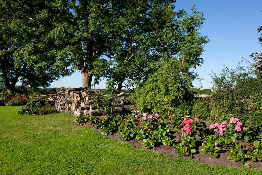 Kiekutsland Apartman Westerholz Kültér fotó